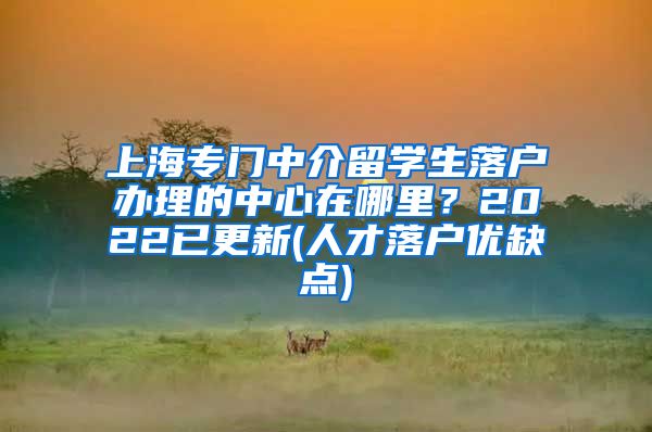 上海专门中介留学生落户办理的中心在哪里？2022已更新(人才落户优缺点)