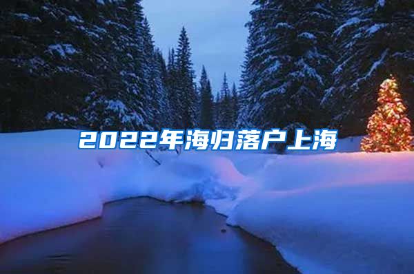 2022年海归落户上海