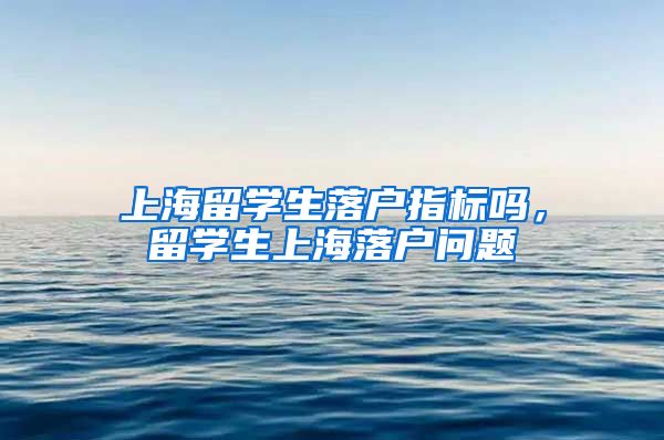 上海留学生落户指标吗，留学生上海落户问题