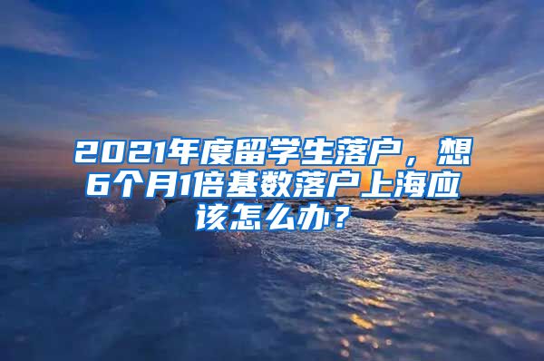 2021年度留学生落户，想6个月1倍基数落户上海应该怎么办？