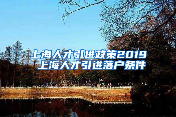 上海人才引进政策2019 上海人才引进落户条件