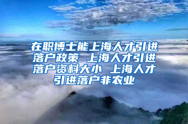 在职博士能上海人才引进落户政策 上海人才引进落户资料大小 上海人才引进落户非农业