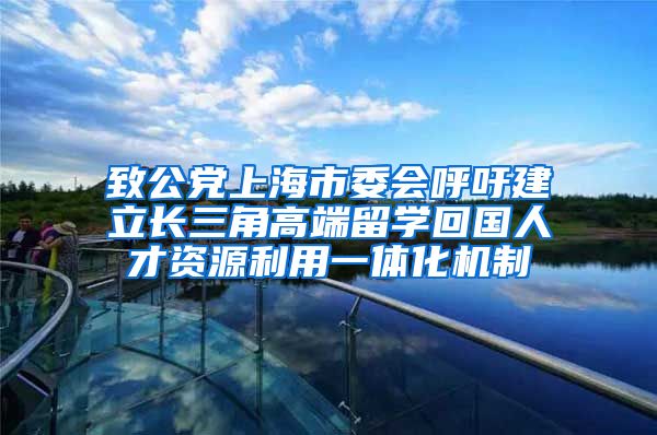 致公党上海市委会呼吁建立长三角高端留学回国人才资源利用一体化机制