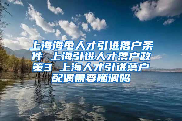 上海海龟人才引进落户条件 上海引进人才落户政策3 上海人才引进落户配偶需要随调吗