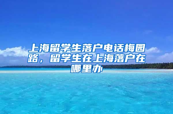 上海留学生落户电话梅园路，留学生在上海落户在哪里办