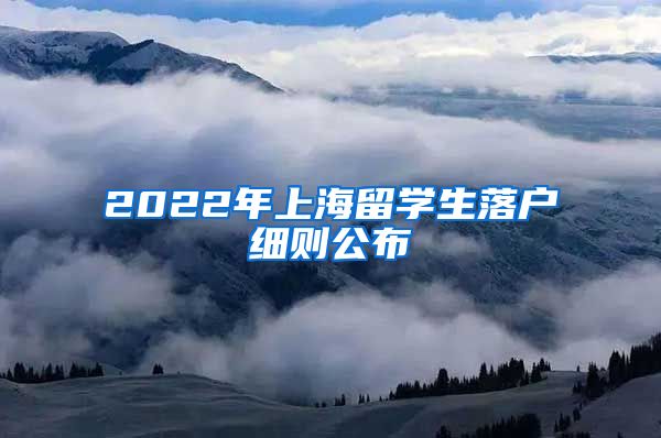 2022年上海留学生落户细则公布