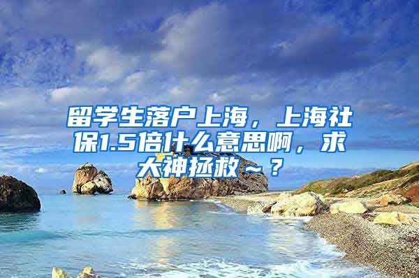 留学生落户上海，上海社保1.5倍什么意思啊，求大神拯救～？