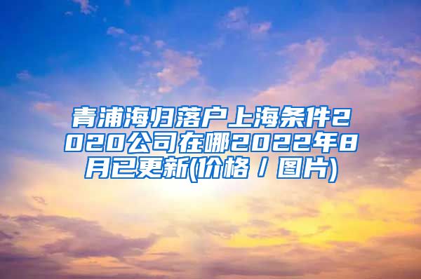 青浦海归落户上海条件2020公司在哪2022年8月已更新(价格／图片)