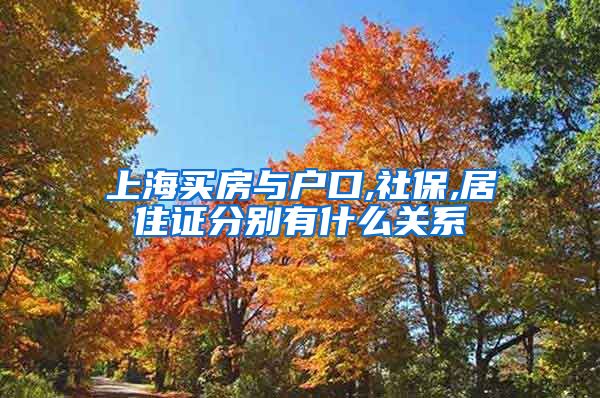 上海买房与户口,社保,居住证分别有什么关系