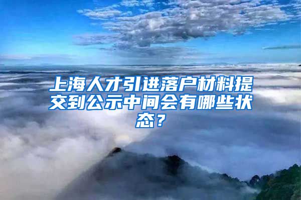 上海人才引进落户材料提交到公示中间会有哪些状态？