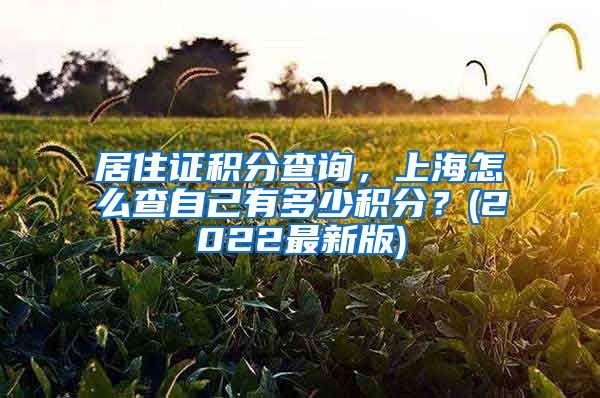 居住证积分查询，上海怎么查自己有多少积分？(2022最新版)