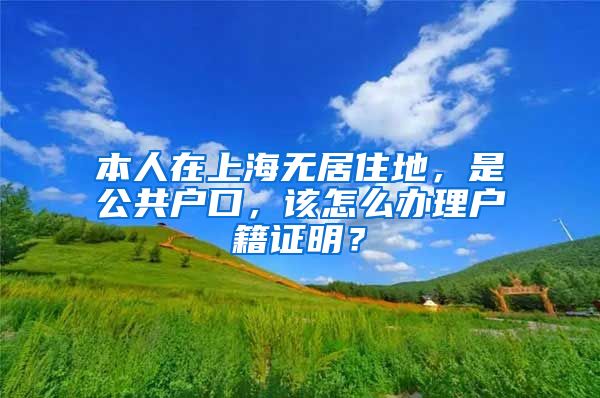 本人在上海无居住地，是公共户口，该怎么办理户籍证明？