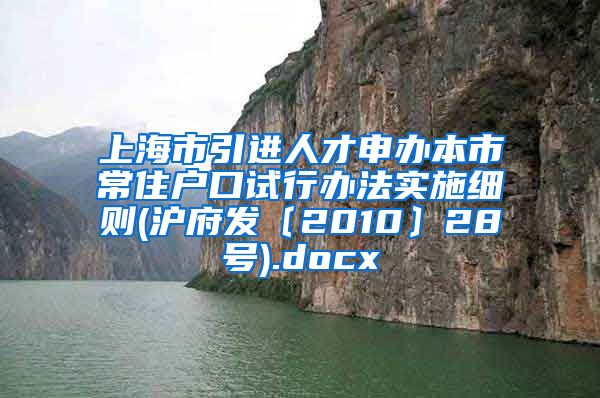 上海市引进人才申办本市常住户口试行办法实施细则(沪府发〔2010〕28号).docx