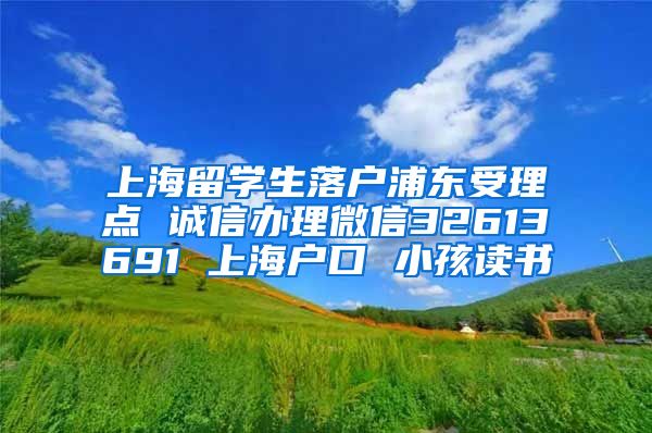 上海留学生落户浦东受理点 诚信办理微信32613691 上海户口 小孩读书