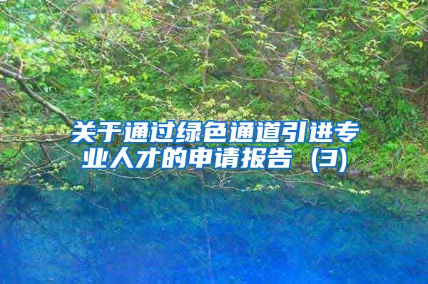 关于通过绿色通道引进专业人才的申请报告 (3)