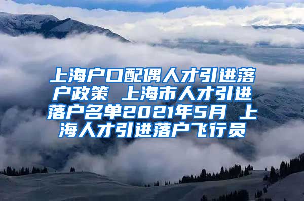 上海户口配偶人才引进落户政策 上海市人才引进落户名单2021年5月 上海人才引进落户飞行员