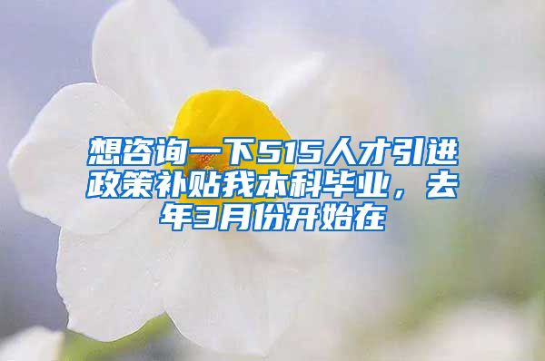 想咨询一下515人才引进政策补贴我本科毕业，去年3月份开始在