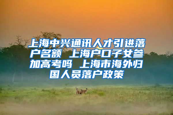 上海中兴通讯人才引进落户名额 上海户口子女参加高考吗 上海市海外归国人员落户政策