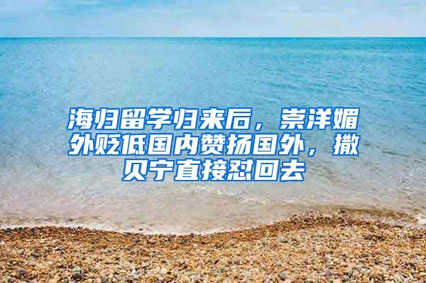 海归留学归来后，崇洋媚外贬低国内赞扬国外，撒贝宁直接怼回去