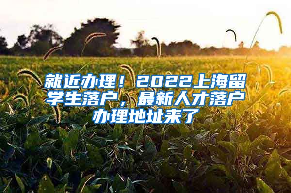 就近办理！2022上海留学生落户，最新人才落户办理地址来了