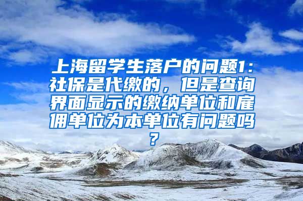 上海留学生落户的问题1：社保是代缴的，但是查询界面显示的缴纳单位和雇佣单位为本单位有问题吗？