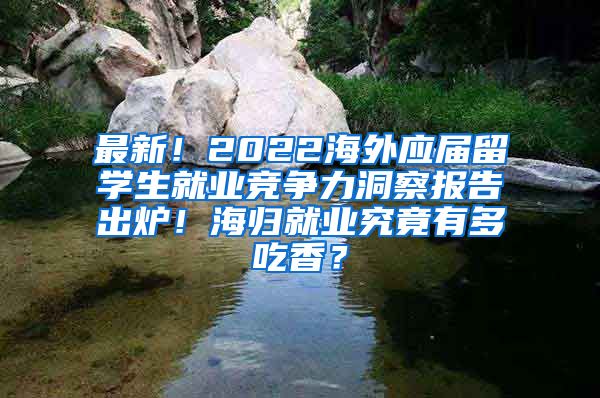 最新！2022海外应届留学生就业竞争力洞察报告出炉！海归就业究竟有多吃香？