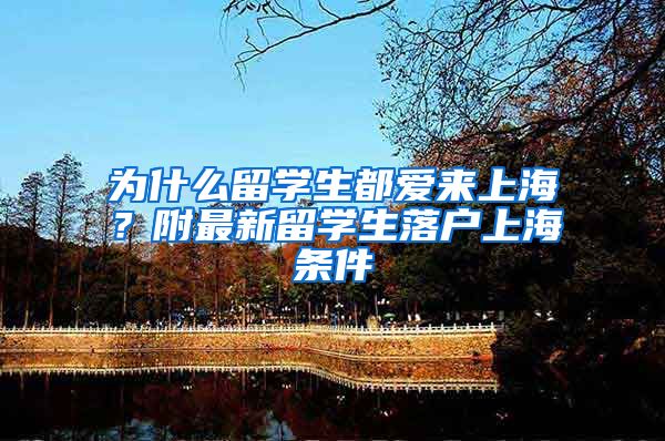 为什么留学生都爱来上海？附最新留学生落户上海条件