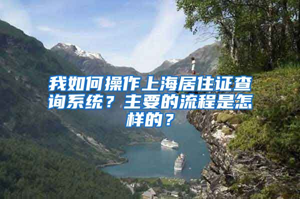 我如何操作上海居住证查询系统？主要的流程是怎样的？