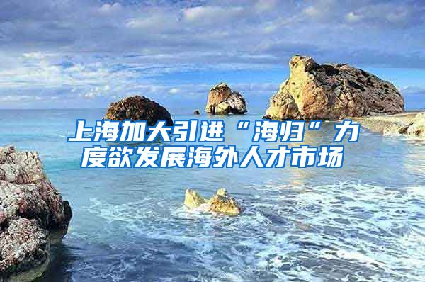 上海加大引进“海归”力度欲发展海外人才市场