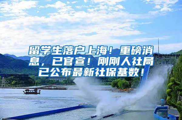 留学生落户上海！重磅消息，已官宣！刚刚人社局已公布最新社保基数！