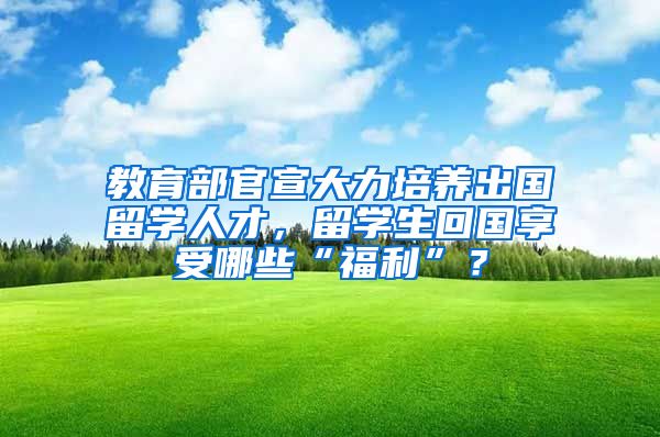 教育部官宣大力培养出国留学人才，留学生回国享受哪些“福利”？