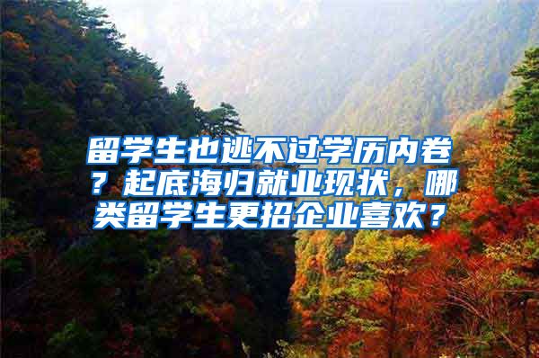 留学生也逃不过学历内卷？起底海归就业现状，哪类留学生更招企业喜欢？