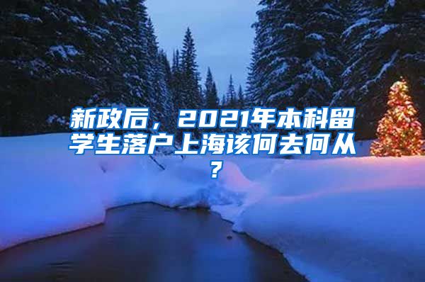 新政后，2021年本科留学生落户上海该何去何从？