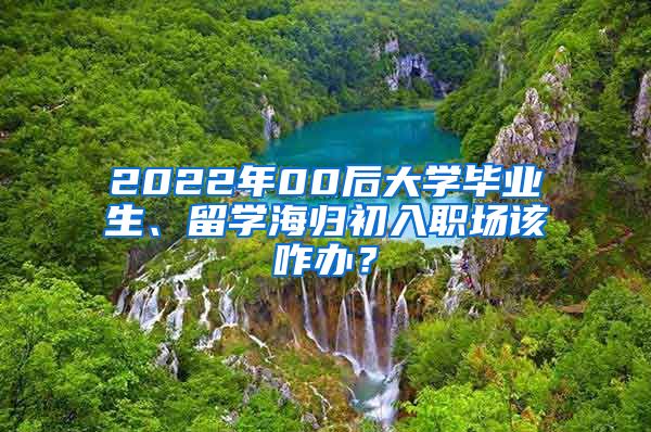 2022年00后大学毕业生、留学海归初入职场该咋办？