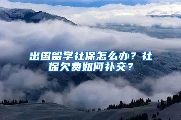 出国留学社保怎么办？社保欠费如何补交？