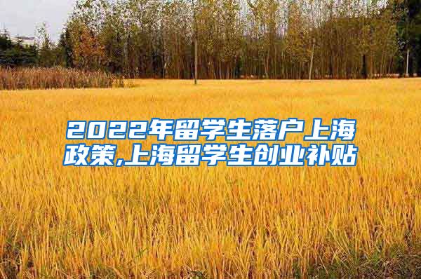 2022年留学生落户上海政策,上海留学生创业补贴