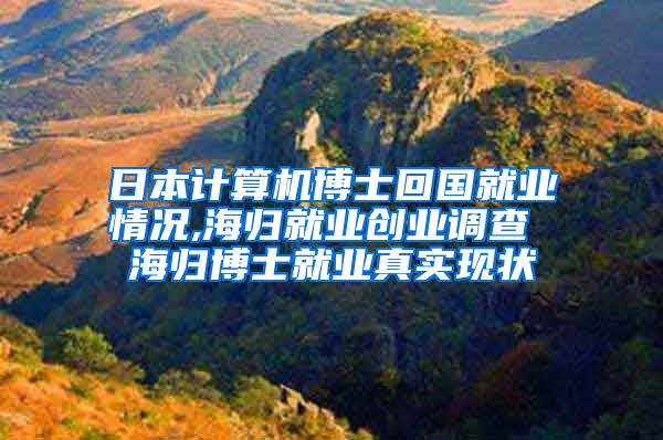 日本计算机博士回国就业情况,海归就业创业调查 海归博士就业真实现状