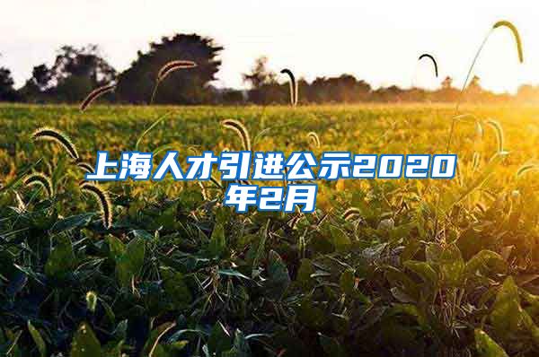 上海人才引进公示2020年2月