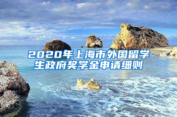 2020年上海市外国留学生政府奖学金申请细则