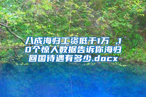 八成海归工资低于1万 ,10个惊人数据告诉你海归回国待遇有多少.docx