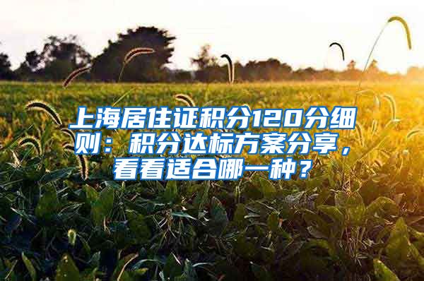 上海居住证积分120分细则：积分达标方案分享，看看适合哪一种？