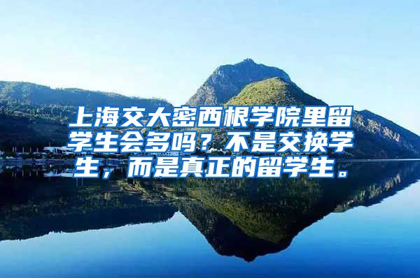 上海交大密西根学院里留学生会多吗？不是交换学生，而是真正的留学生。