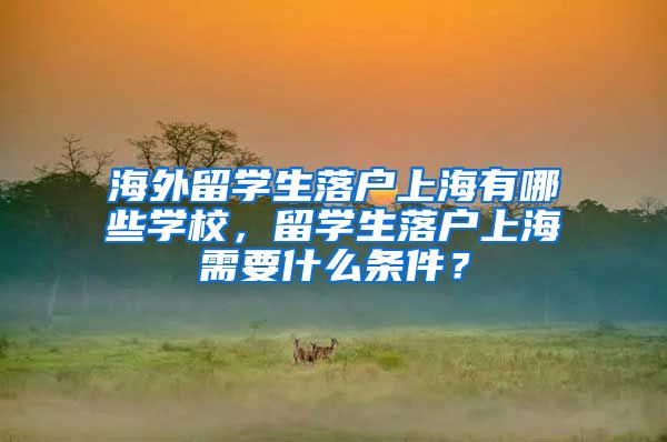 海外留学生落户上海有哪些学校，留学生落户上海需要什么条件？