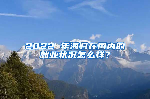 2022 年海归在国内的就业状况怎么样？