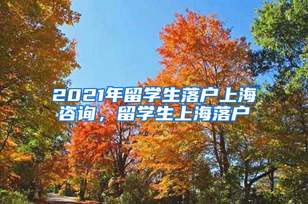 2021年留学生落户上海咨询，留学生上海落户