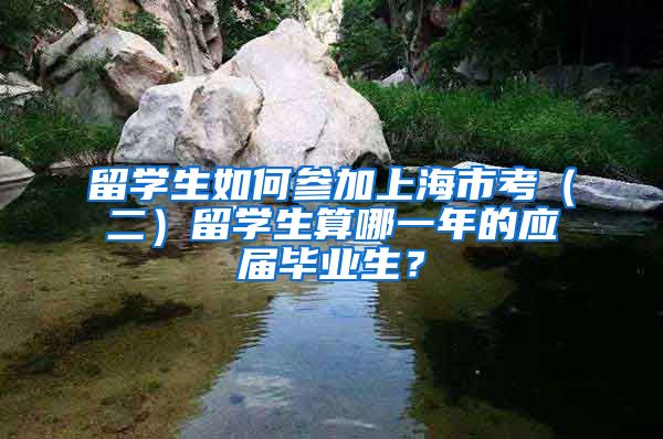 留学生如何参加上海市考（二）留学生算哪一年的应届毕业生？