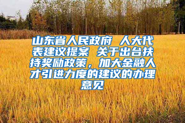 山东省人民政府 人大代表建议提案 关于出台扶持奖励政策，加大金融人才引进力度的建议的办理意见