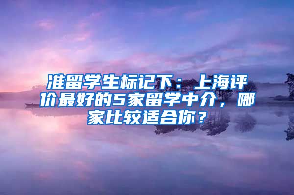 准留学生标记下：上海评价最好的5家留学中介，哪家比较适合你？