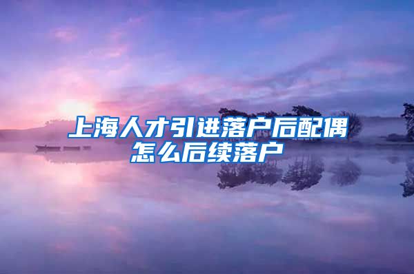 上海人才引进落户后配偶怎么后续落户