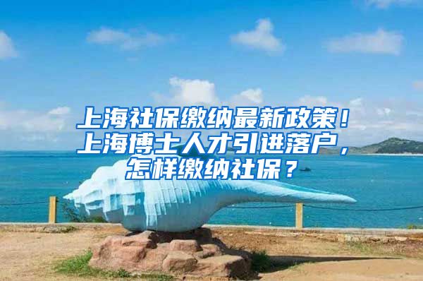 上海社保缴纳最新政策！上海博士人才引进落户，怎样缴纳社保？